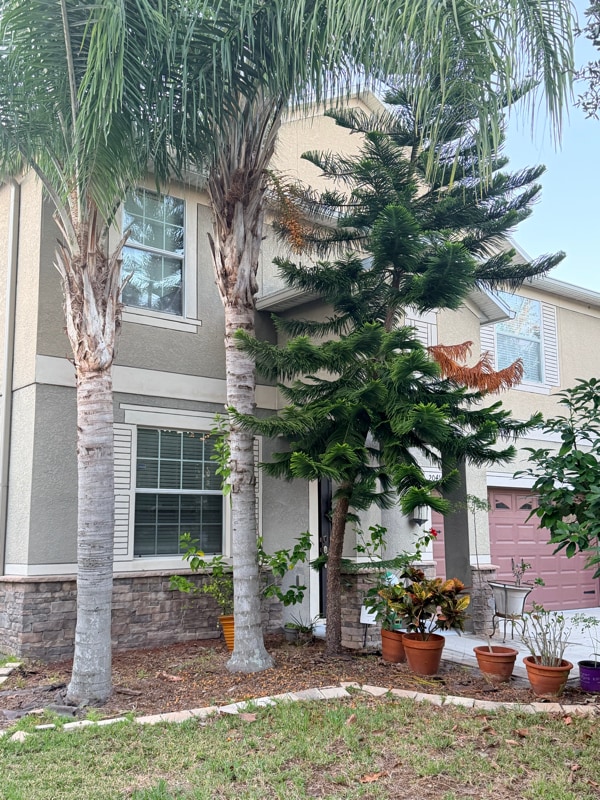 Building Photo - 20414 Carolina Cherry Ct