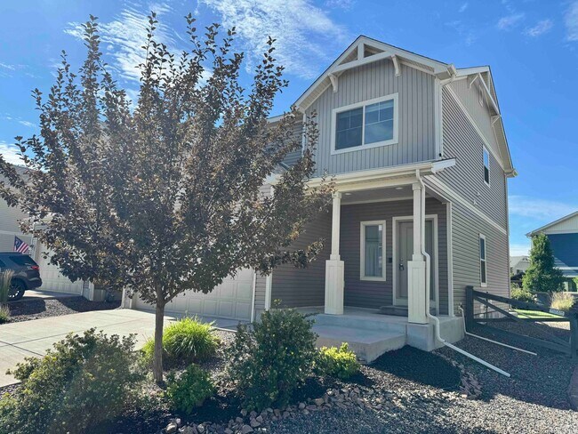 Building Photo - Move in ready 3 bedroom in Banning Lewis Ranch