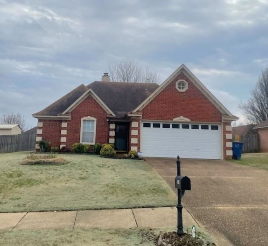 Olive Branch schools! - Olive Branch schools!