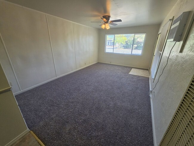 Building Photo - 1517 Solano St