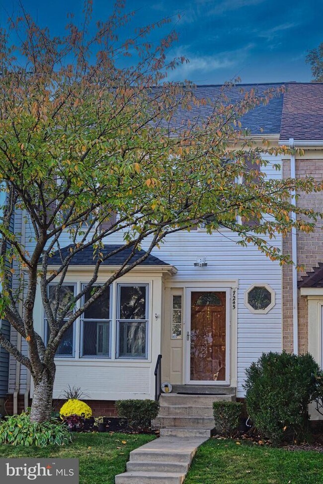 7245 Kousa Ln, West Springfield, VA 22152 Townhome Rentals in West