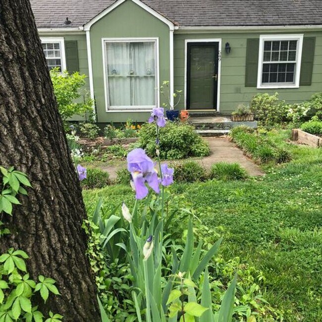 Foto del edificio - Vintage Bungalow in Charlotte Park