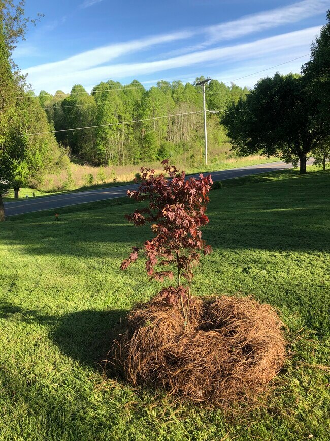3325 Carl Allred Rd, Franklinville, NC 27248 House Rental in