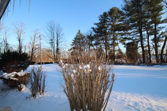 Foto del edificio - Beautifully remodeled and completed 1 bedroom apartment. FREE MONTH OF RENT!*