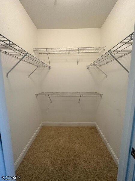 Building Photo - 8405 Sanctuary Boulevard