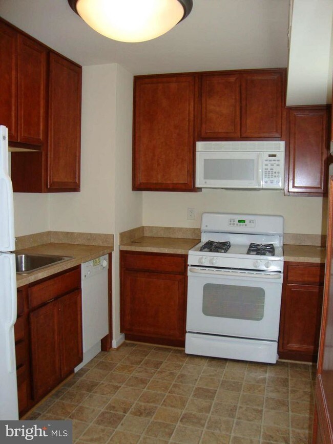 1805 William St Unit 1A, Fredericksburg, VA 22401 Condo for Rent in