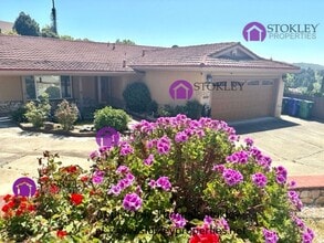 Building Photo - 822 Reef Point Dr