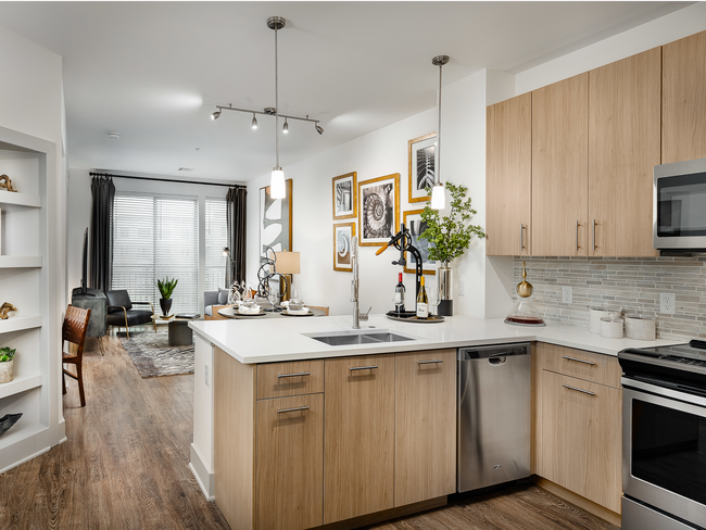 Cocina gourmet del chef con electrodomésticos de acero inoxidable - Tuscan Village