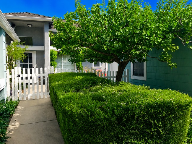 Building Photo - 911 Bluebell Way
