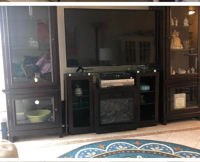 Televisor grande - 1800 Roundhill Rd