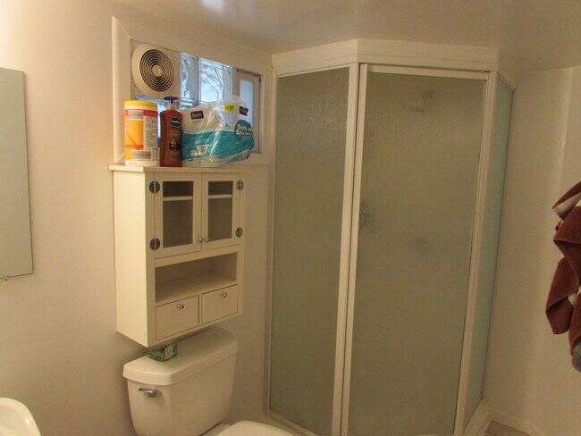 lower level 3/4 bath - 2820 Girard Ave S