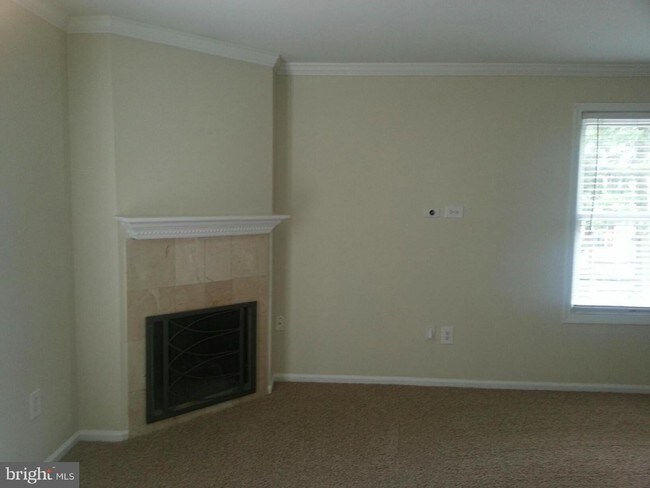 Building Photo - 4546C Rawlings Pl