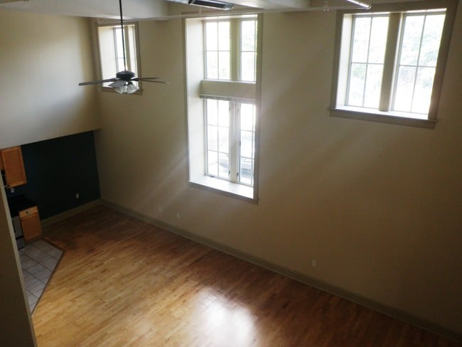 Building Photo - Theresa Park Loft Apartments!