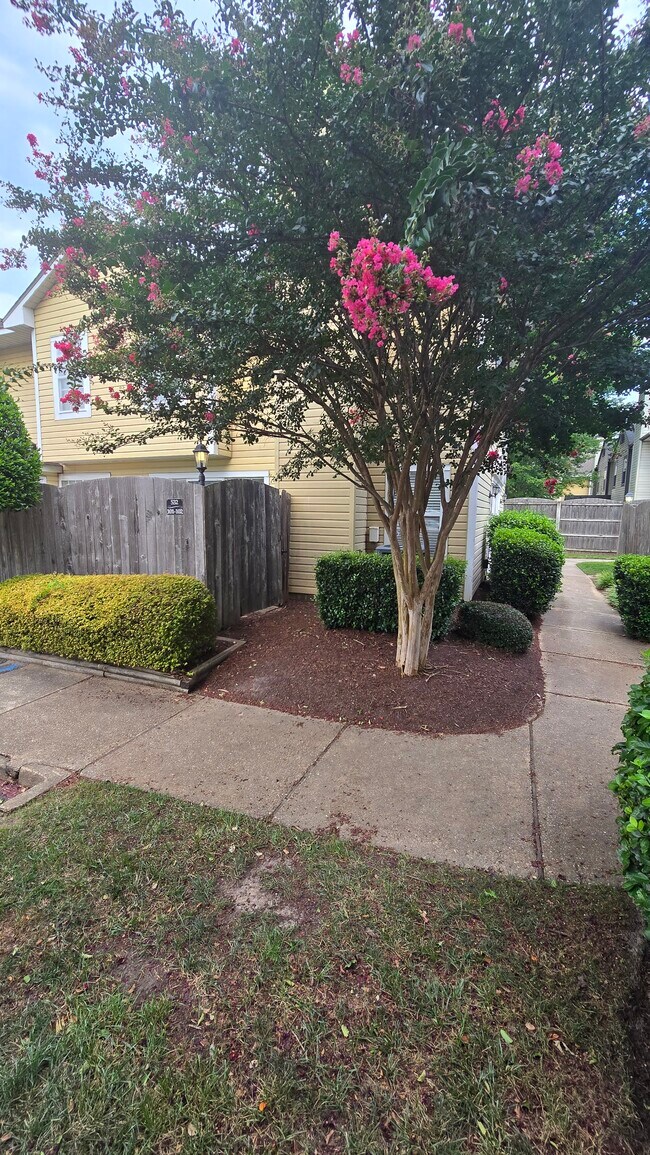Foto del edificio - 532 N Birdneck Rd