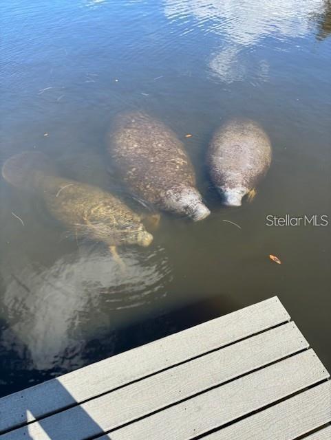 Building Photo - 350 79th Ave N