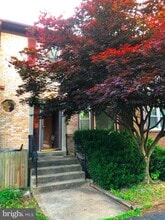 Building Photo - 7109 Captains Cove Ct