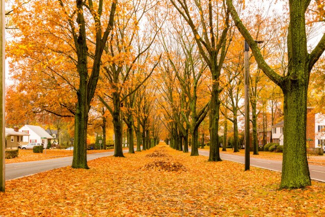 Veterans of Foreign Wars Parkway in the fall