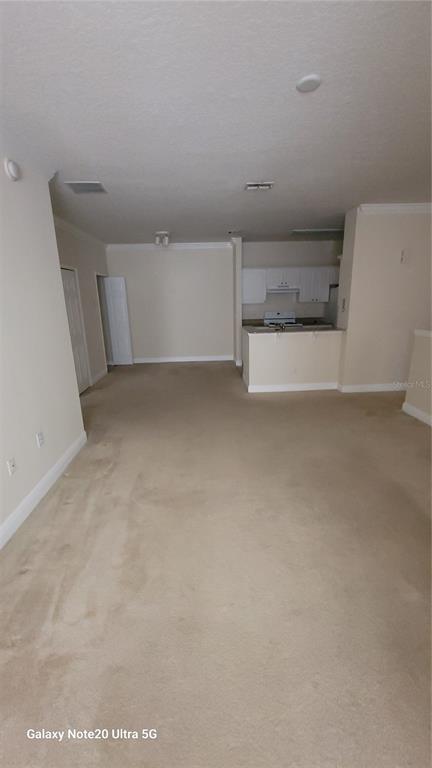 Foto del edificio - 430 Southern Pecan Cir