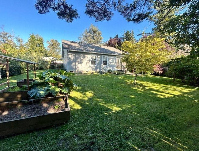 Backyard - 303 Nooksack Ave