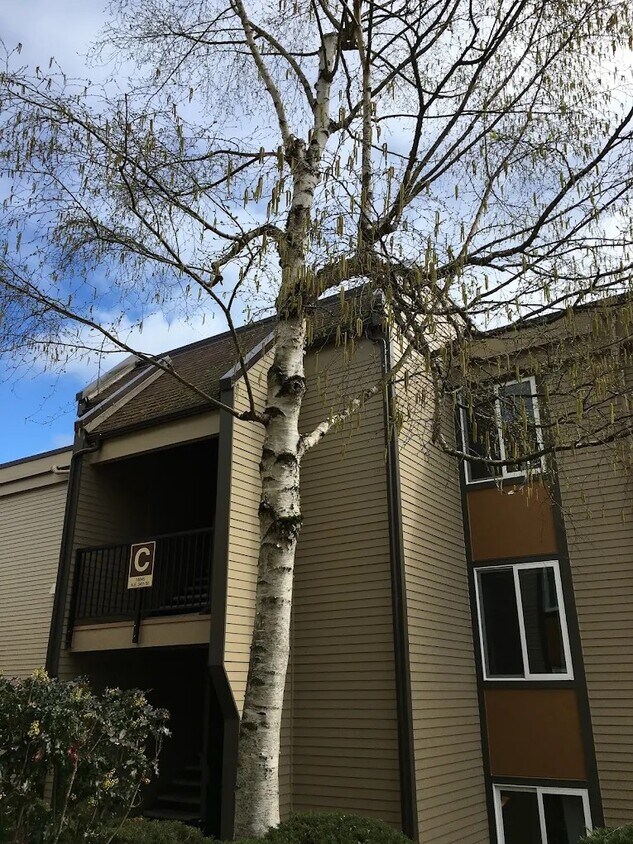 Primary Photo - 14600 NE 32nd St