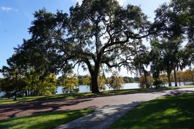 Building Photo - Downtown Orlando with Lake Davis Views!