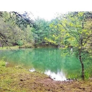 Foto del edificio - 2015 Union School Rd SW