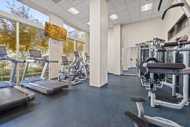 Building Photo - The Courtyards at 65th Street