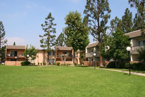 Landscape - Village Meadows