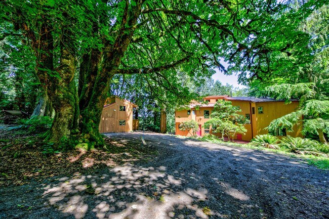Building Photo - Private 3 Bedroom Home in the Woods