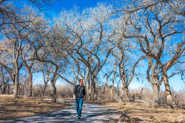 Enjoy the large cottonwoods along the Bosque at Riverside Park in Los Lunas.