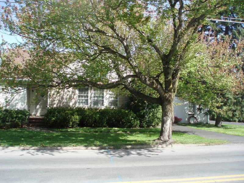 Primary Photo - 707 Lindbergh Ave