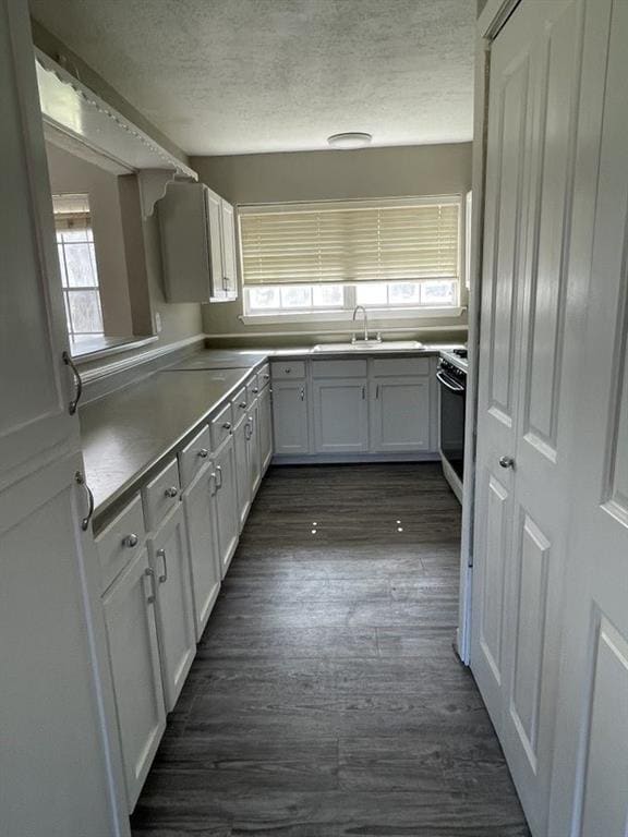 Building Photo - 4114 Ebbtide Dr