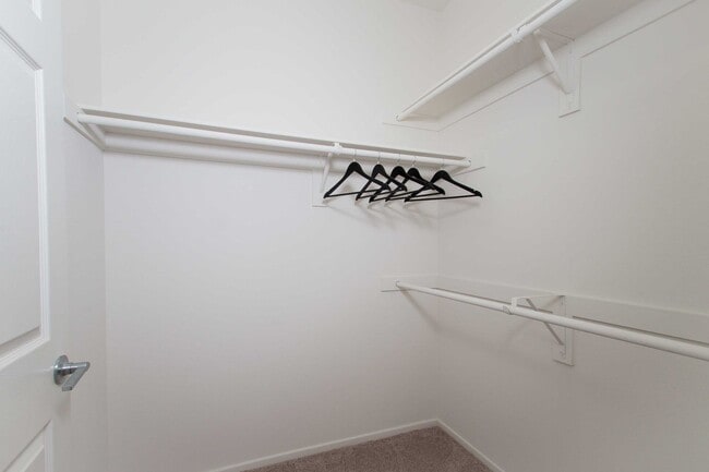 Interior Photo - Avila Apartment Homes