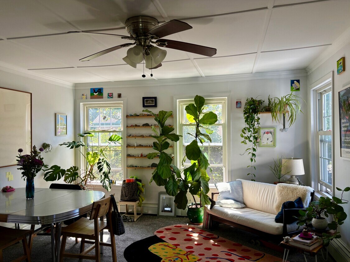 Foto principal - 15 Gould St