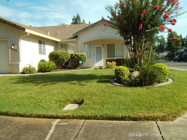 Building Photo - 1007 Mariposa Dr