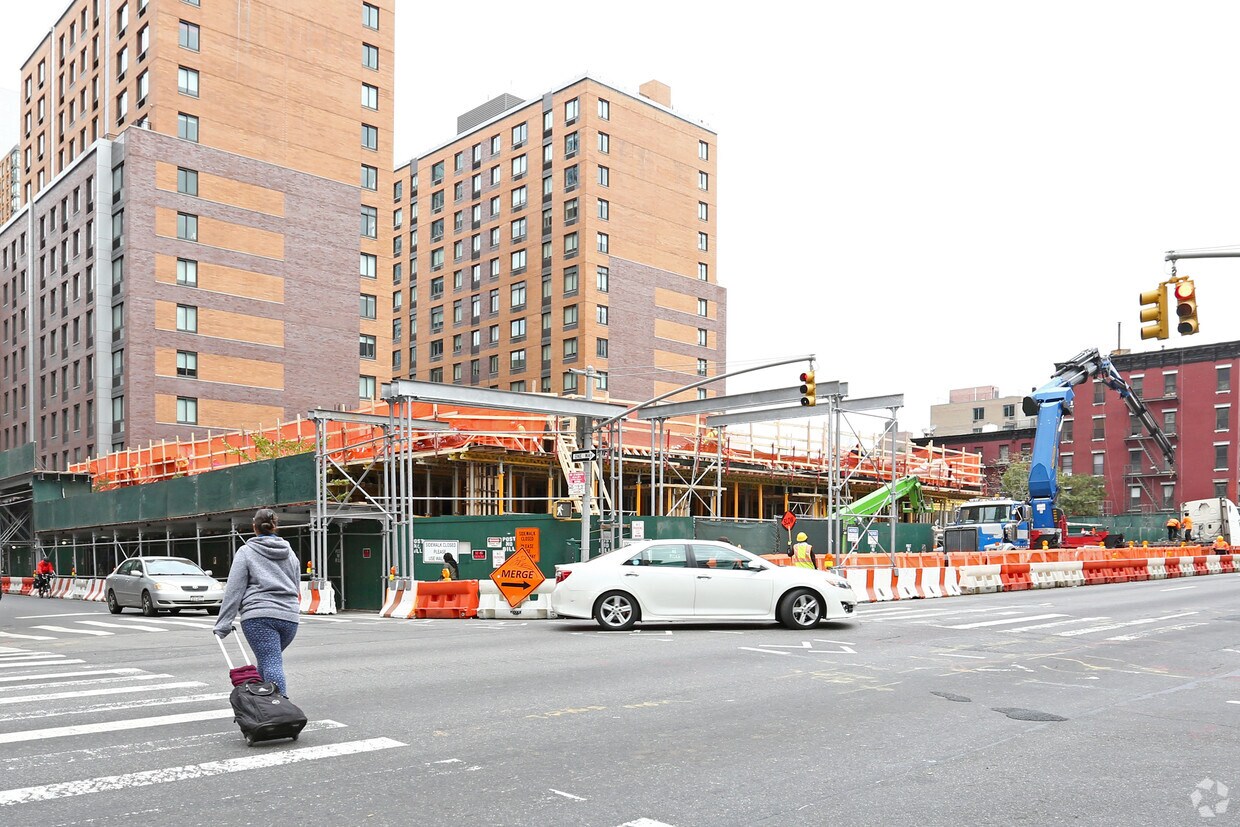 Primary Photo - Bloom on Forty Fifth