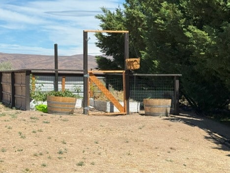 Garden - 801 Box Canyon Rd