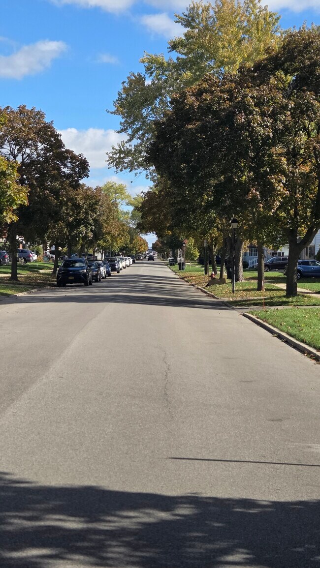 Foto del edificio - 247 School St