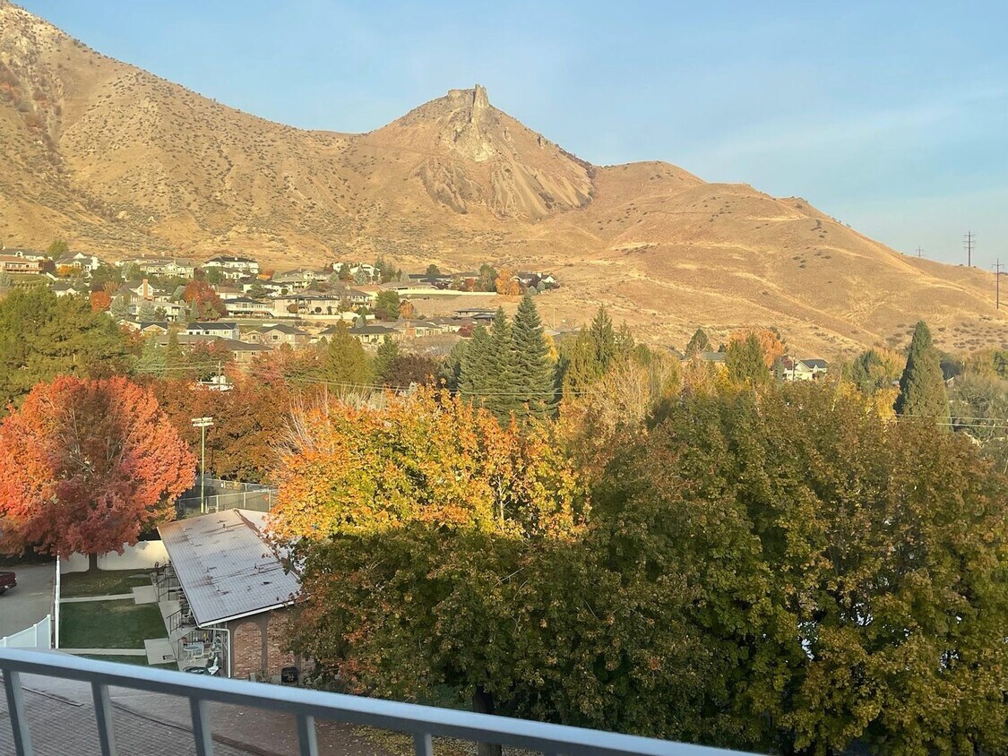 Primary Photo - Now renting 1 bedroom Fully Furnished cond...