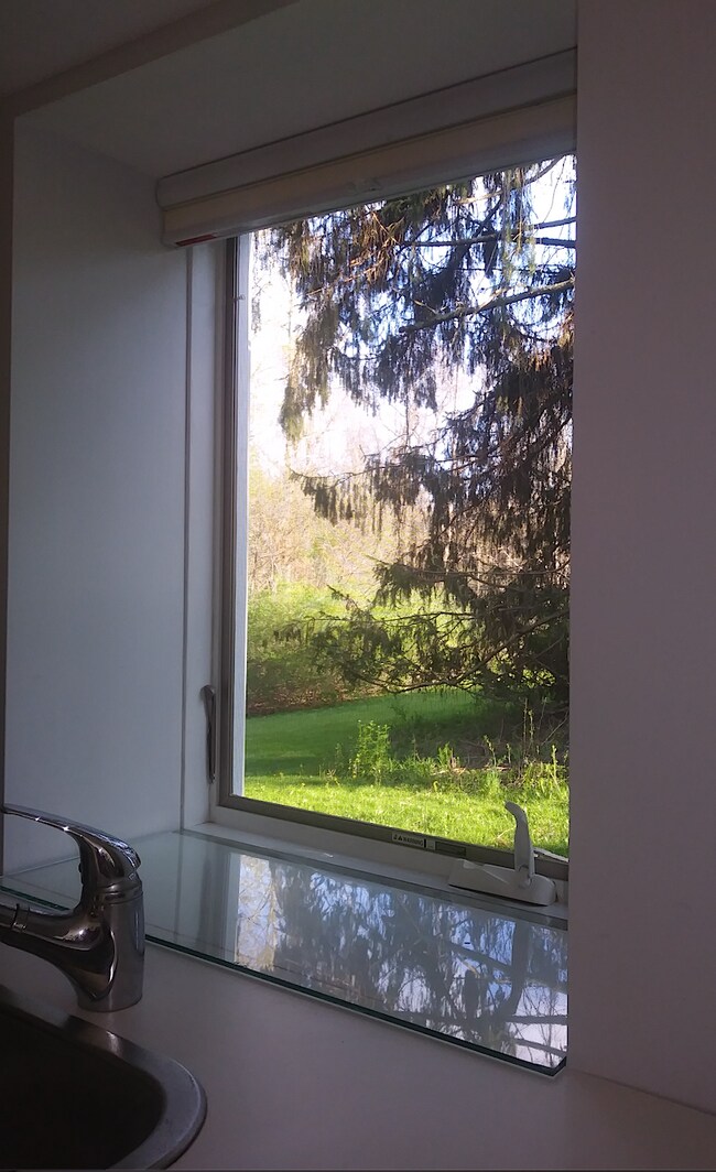 Kitchen window view. - 1524 County Route 5