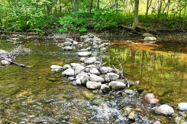 Stoney Creek in Rochester Hills is a classic freestone river.