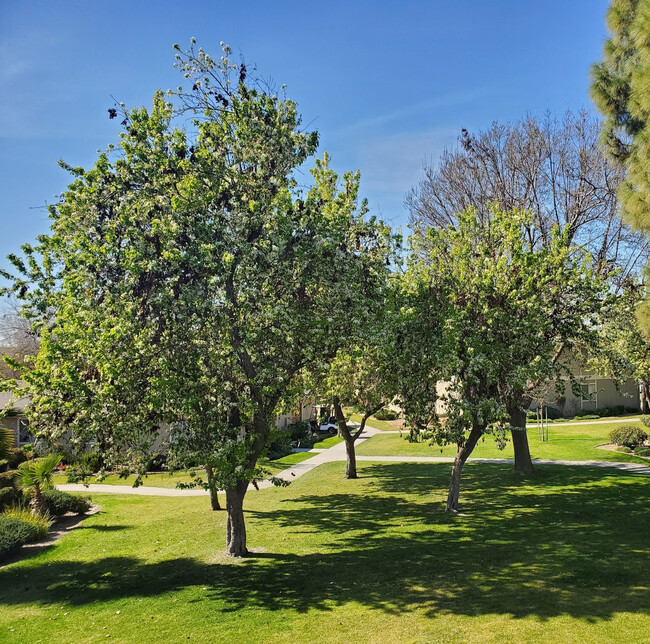 Foto del edificio - Brandywine Apartments