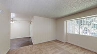 Located at 2593 Millcreek Dr in Sacramento, CA, this single-story, one-bedroom, one-bathroom unit offers a practical and well-organized layout across a compact footprint. The kitchen is equipped with light wood cabinetry, white appliances including an electric range and refrigerator, a black dishwasher, white countertops, and durable wood-look vinyl flooring, making it a functional space for everyday cooking. Adjacent to the kitchen is a dining nook that provides additional flexibility. The living room is generously sized, featuring plush wall-to-wall carpeting, a textured ceiling, a ceiling fan, and a large picture window alongside a sliding glass door that opens to a private balcony with outdoor views — allowing ample natural light to fill the room. The bedroom is a comfortable, carpeted space with a textured ceiling, a dedicated closet, and easy access to the hallway. The full bathroom features wood-look tile flooring, a tub/shower combo with a curved curtain rod, a toilet, and a wood-vanity with a light countertop. A hallway connects all areas of the unit efficiently. Neutral tones throughout create a clean, move-in-ready feel that is easy to personalize.