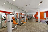 Located at 2115 Piedmont Rd NE in Atlanta, GA, this fitness center delivers a comprehensive exercise environment across a single, generously sized floor. The space is defined by bold orange accent walls set against a crisp white ceiling, creating an energetic and motivating atmosphere throughout. Recessed lighting illuminates the interior evenly, while large windows along multiple walls invite abundant natural light and offer pleasant views of the surrounding greenery outdoors.

The layout is thoughtfully organized to accommodate a wide variety of workout styles. A row of Cybex strength machines lines one side of the room, reflected by full-length mirrors that enhance the sense of openness and allow users to monitor their form. The cardio section features treadmills, ellipticals, stationary bikes, and stair climbers, many positioned to face the exterior windows. A dedicated functional training zone includes exercise mats, battle ropes, medicine balls, and open floor space for dynamic movements.

Flooring transitions between textured carpet tiles in the equipment areas and rubberized flooring in the stretching and functional zones, providing both comfort and safety. Structural columns are integrated throughout the floor plan, contributing to the architectural character of the space. The overall design is clean, modern, and purpose-built to support a full range of fitness activities.