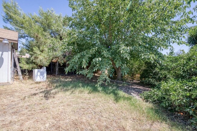Building Photo - 3518 E Clay Ave