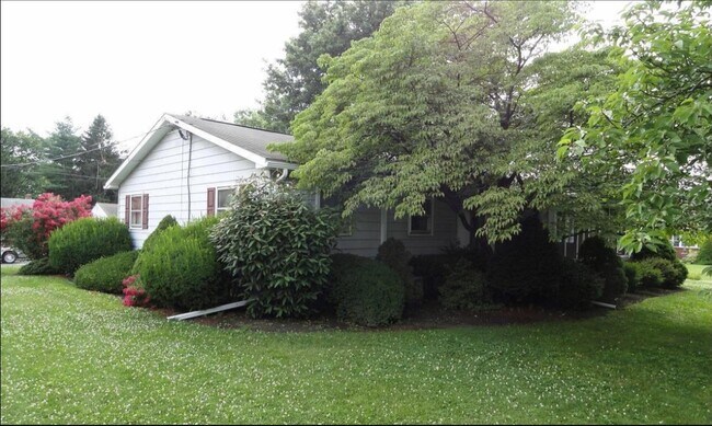 Building Photo - 321 Horst Ave