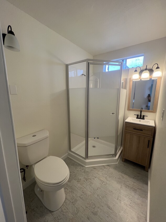 Completely remodeled bathroom with all new fixtures - 424 S Broadway