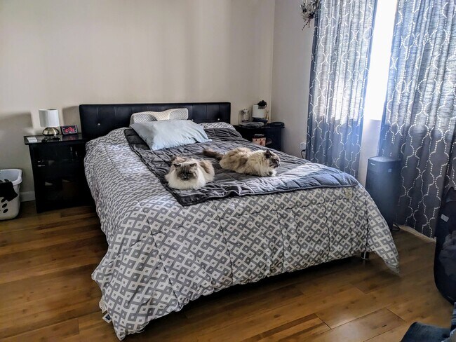 Foto del edificio - 63 Fenno St