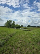 Building Photo - 29502 FM 1736