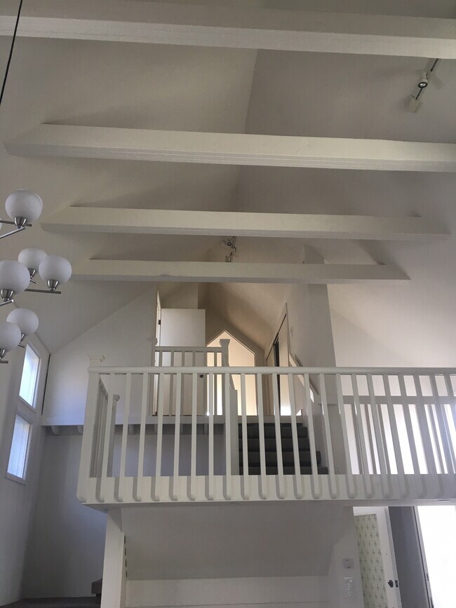 Ceiling - 40 Carl St